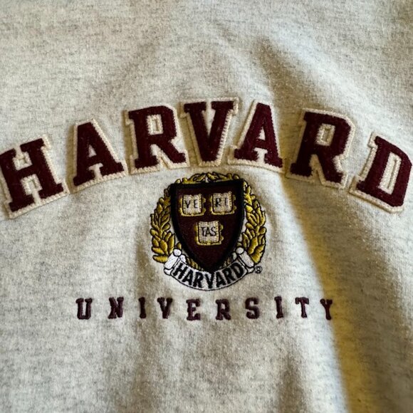 Champion Harvard Youth XL Hooded Sweatshirt YXL 14-16 - Picture 2 of 6